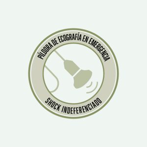 Ecografía aplicada al shock indiferenciado