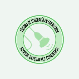 Ecografía aplicada a los accesos vasculares ecoguiados