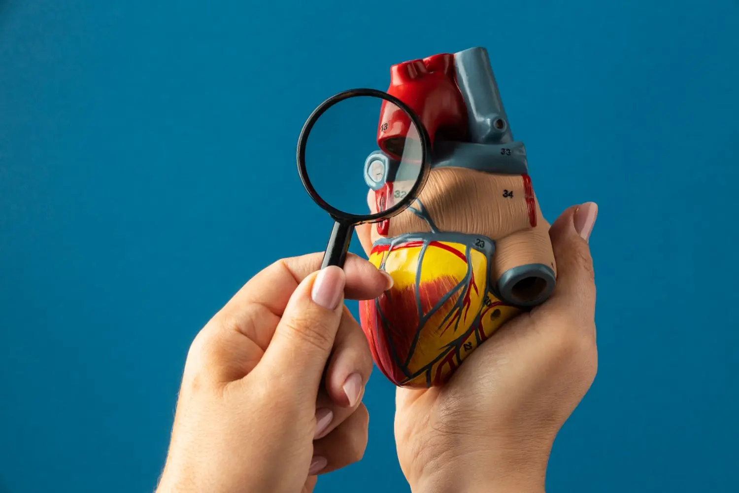 Espasmo de las arterias coronarias: todo lo que debes saber